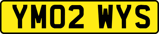 YM02WYS