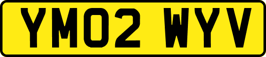 YM02WYV