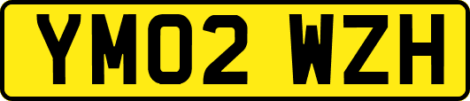 YM02WZH