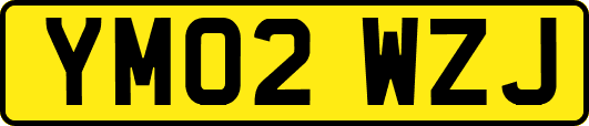 YM02WZJ