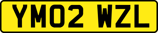 YM02WZL