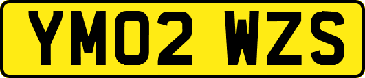 YM02WZS