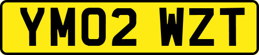 YM02WZT
