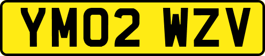 YM02WZV