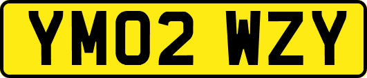YM02WZY