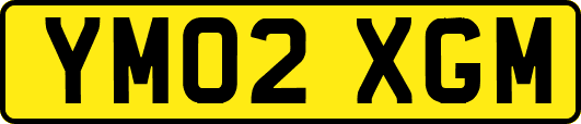 YM02XGM