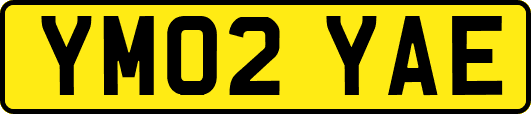 YM02YAE
