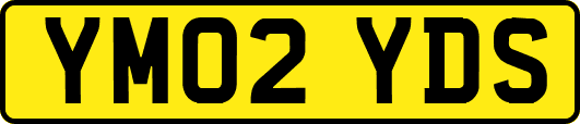 YM02YDS