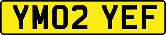 YM02YEF