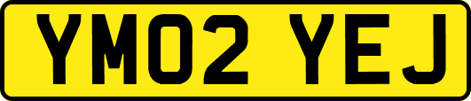 YM02YEJ