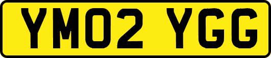 YM02YGG