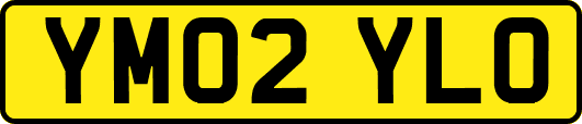 YM02YLO