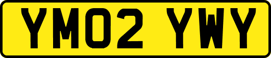 YM02YWY