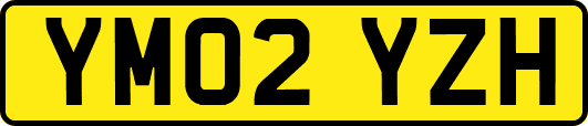 YM02YZH