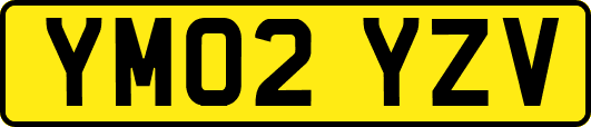 YM02YZV