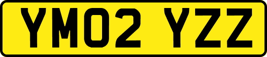 YM02YZZ