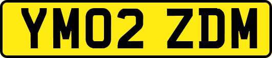 YM02ZDM