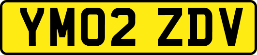 YM02ZDV