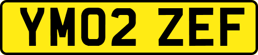 YM02ZEF