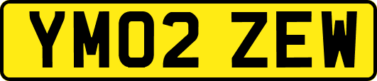 YM02ZEW