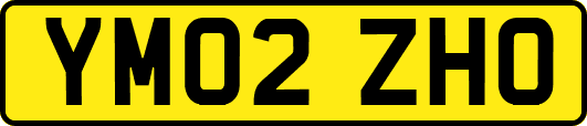YM02ZHO