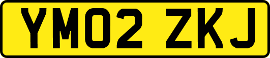 YM02ZKJ