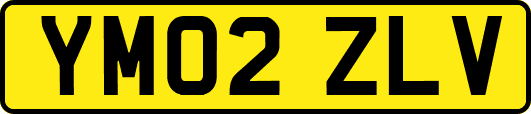 YM02ZLV