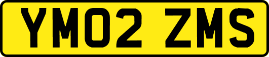 YM02ZMS