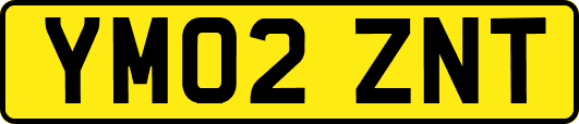 YM02ZNT