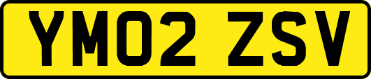 YM02ZSV