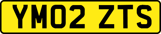 YM02ZTS