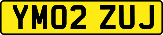 YM02ZUJ