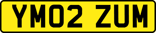 YM02ZUM