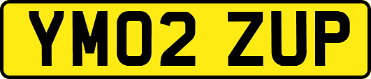 YM02ZUP