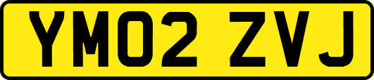 YM02ZVJ