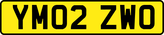 YM02ZWO