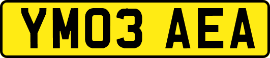 YM03AEA