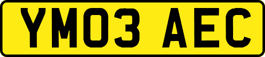 YM03AEC