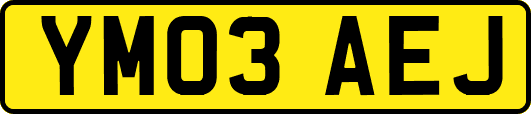 YM03AEJ