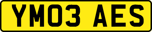 YM03AES