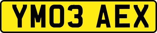 YM03AEX