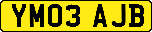 YM03AJB