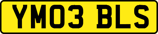 YM03BLS