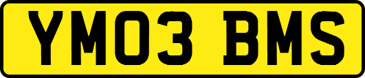 YM03BMS