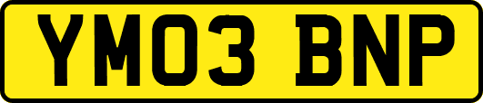 YM03BNP
