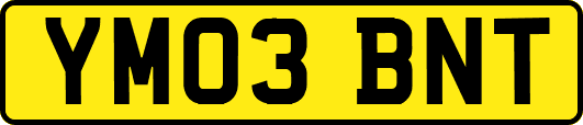 YM03BNT