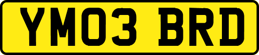 YM03BRD