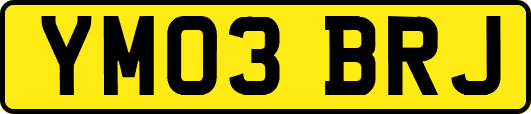 YM03BRJ