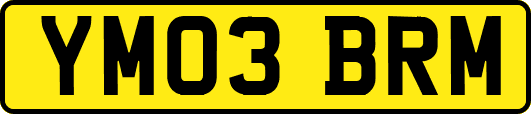 YM03BRM