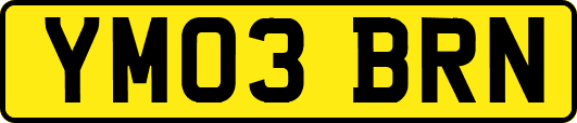 YM03BRN